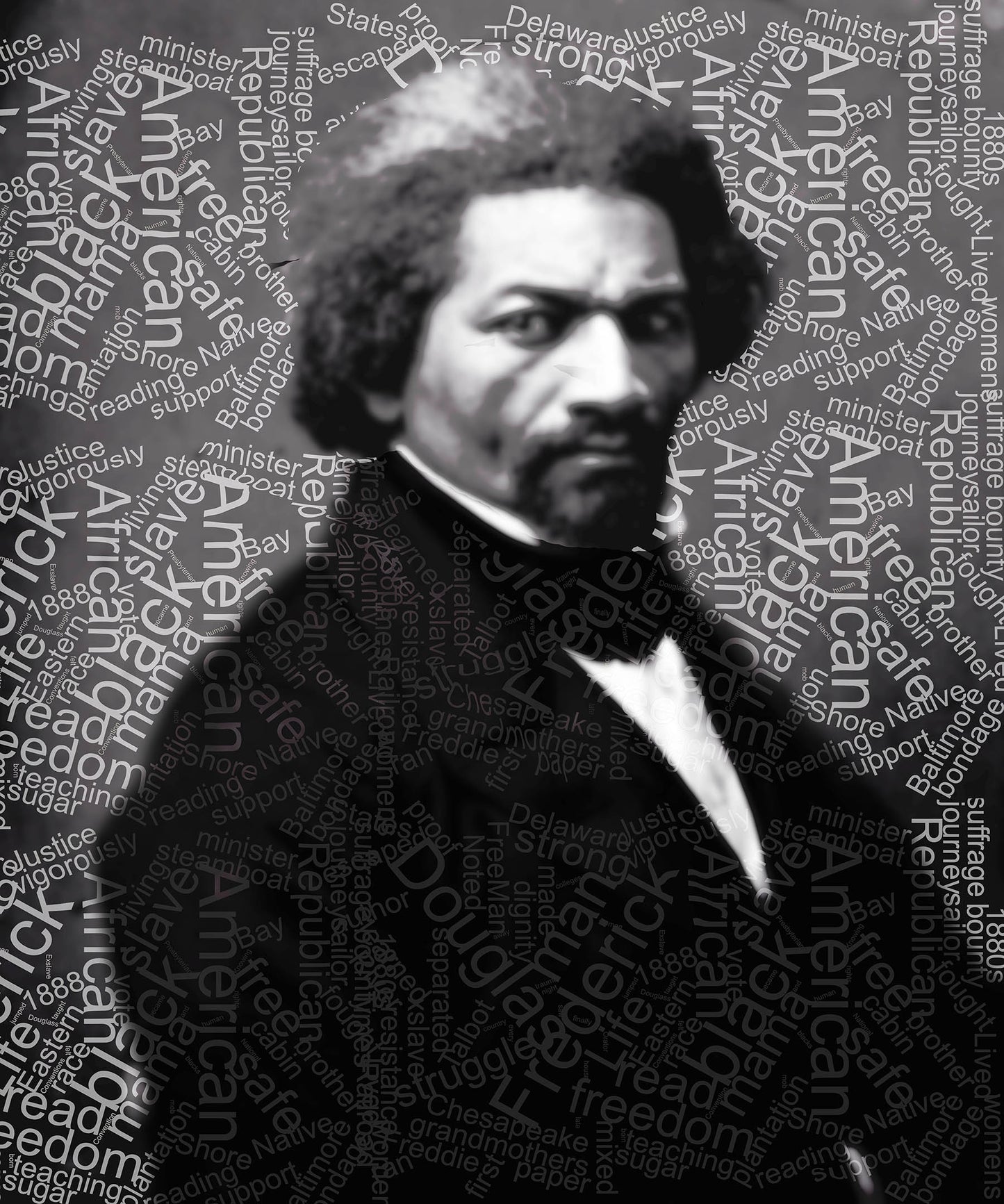 Frederick Douglass Portrait Art Print